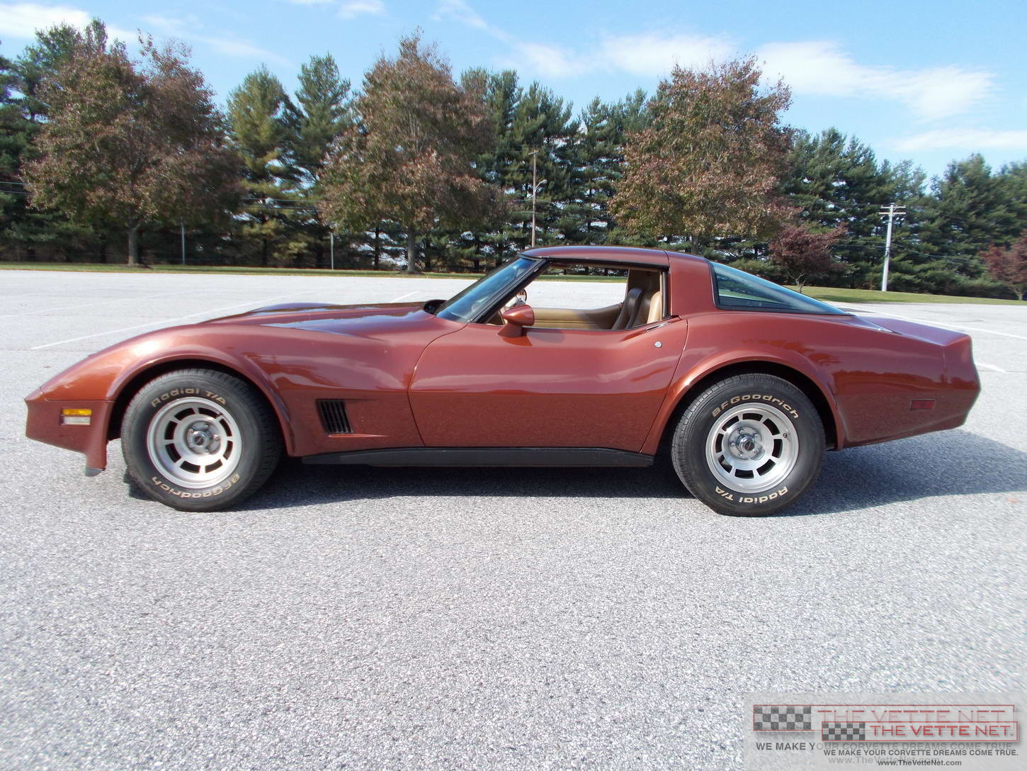 1981 Corvette T-Top Dark Bronze