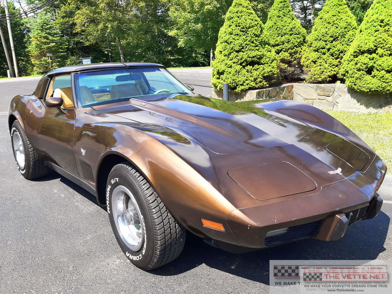 1979 Corvette T-Top Brown Metallic