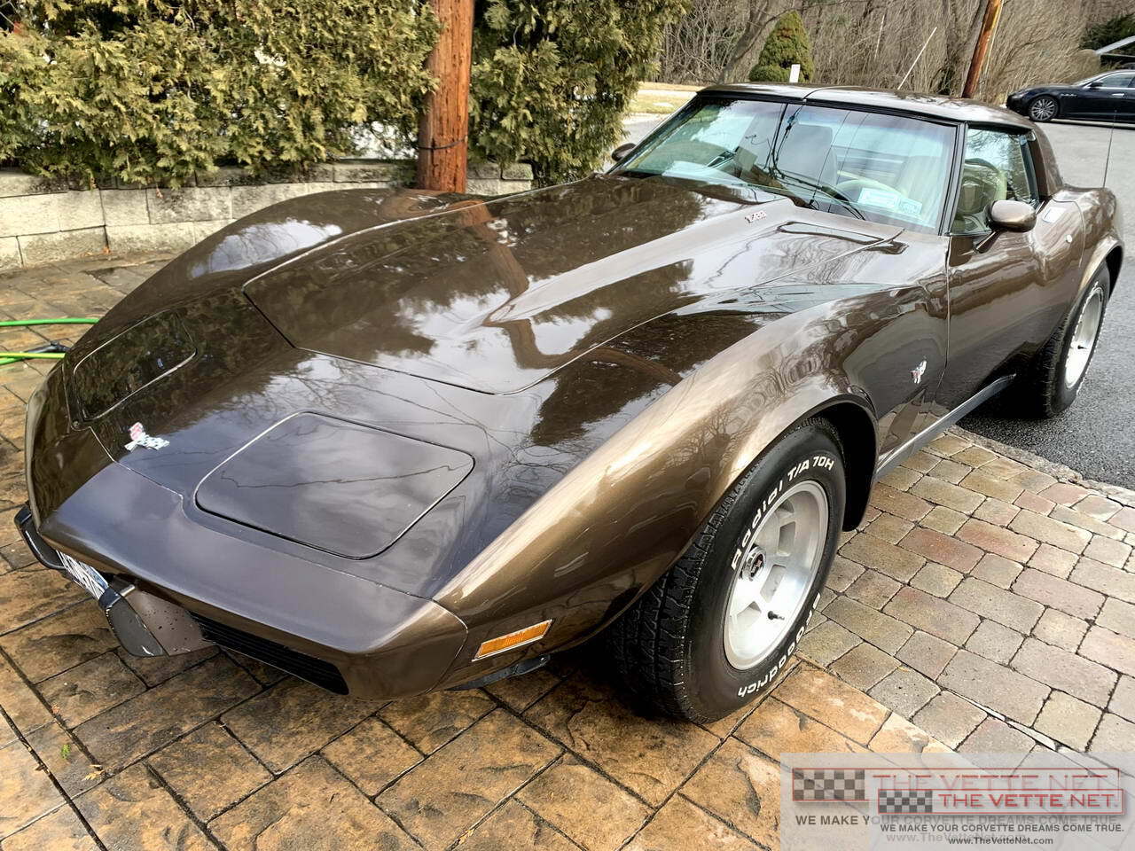 1979 Corvette T-Top Corvette Dark Brown